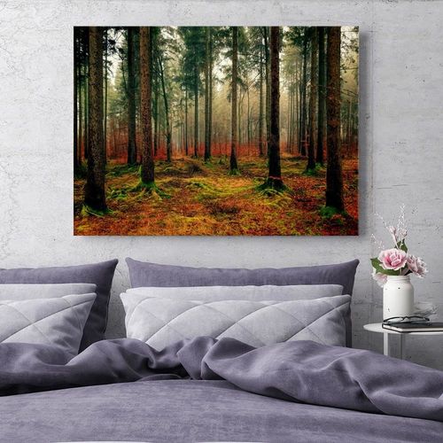 Obraz na płótnie - Canvas, Kolorowy las 90x60 na Arena.pl