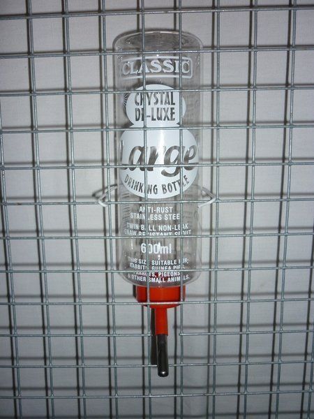 Poidło kulkowe 600ml CLASSIC zdjęcie 3