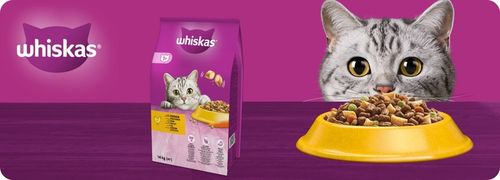 SUCHA KARMA WHISKAS ADULT DLA KOTA Z PYSZNYM KURCZAKIEM 14KG na Arena.pl