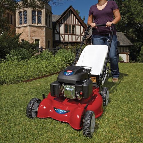 TORO 29639 na Arena.pl