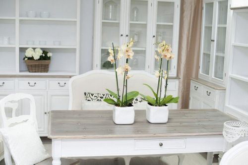 RAVENNA 027 Ława na Arena.pl