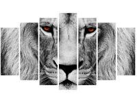 product-compare-58694006