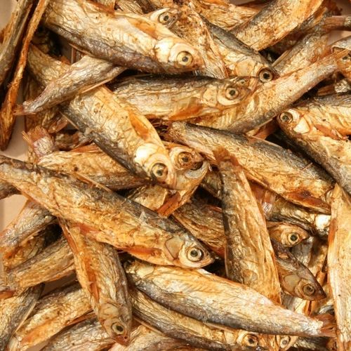 Glopex Stinte Suszona Stynka dla ryb żółwi 500g na Arena.pl