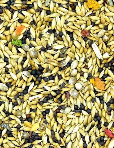 karma dla kanarka Exclusive MDM KE 1 x 10kg fa na Arena.pl