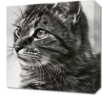 Obraz 40x40cm Kocie Wpatrzenie