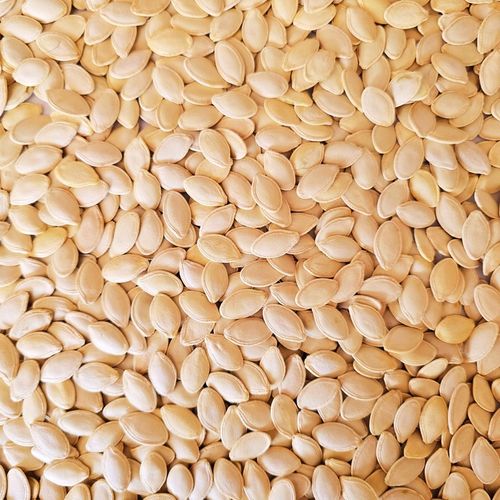 PESTKI DYNI W ŁUPINIE ŚWIEŻO PRAŻONE SOLONE 500g bezrantowe na Arena.pl