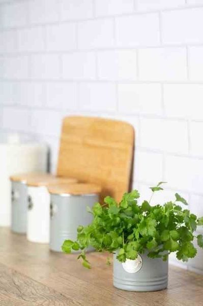 TYP - Osłonka na doniczkę do ziół, szara zdjęcie 3