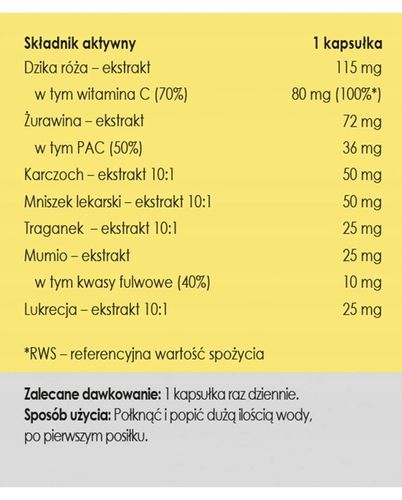 Zdrowy pęcherz - 50 kapsułek - Panaseus na Arena.pl