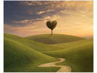 40X50CM DRZEWO SERCE OBRAZ