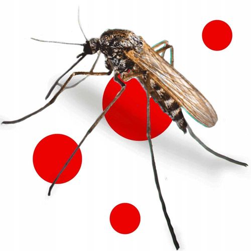 bros - spray na komary i kleszcze max 90ml - 1 szt. na Arena.pl