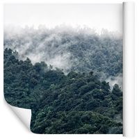 Fototapeta 3D Las we Mgle Chmury do Salonu 450x300