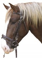 Ogłowie dla konia zimnokrwistego brąz Covalliero