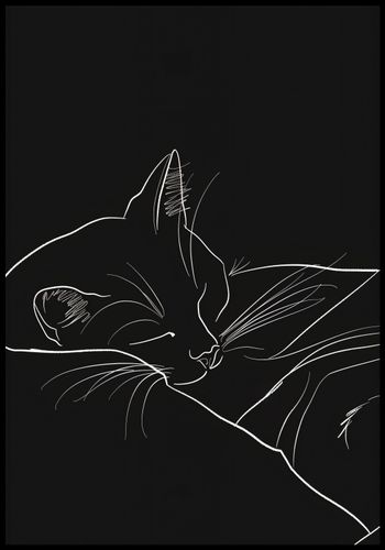 Plakat 68x98cm Nocny Spokój na Arena.pl