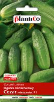 NASIONA Ogórek Gruntowy Cezar Konserwowy Do Kwaszenia 5g PLANTICO 401136