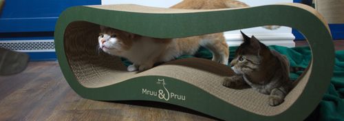 Drapak dla kota LEON | zielony | 78x28x24 cm | MruuPruu na Arena.pl