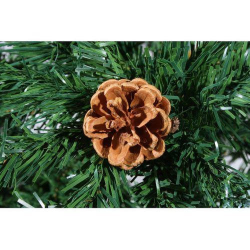 10 Dekoracyjnych Szyszek na Arena.pl