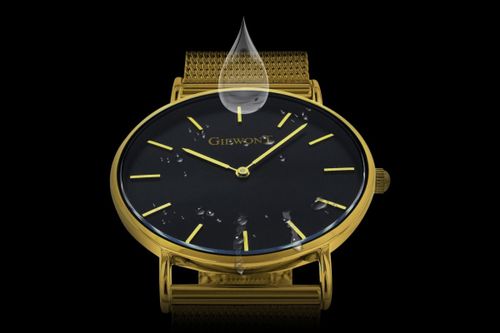 Zegarek Damski GIEWONT GW1970-2 na Arena.pl