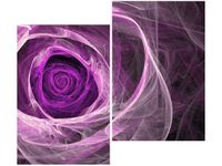 product-compare-58655552