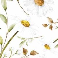 Tapeta Rumianek W87 250 cm płótno