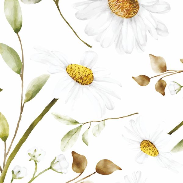 Tapeta Rumianek W87 270 cm płótno zdjęcie 1