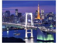 40X50CM ZATOKA TOKIJSKA OBRAZ