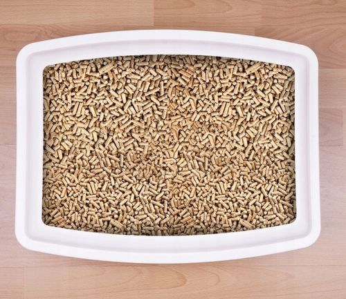 ŻWIREK DREWNIANY DLA KOTA KRÓLIKA EKOLOGICZNY 15KG JASNY NATURALNY PELLET na Arena.pl