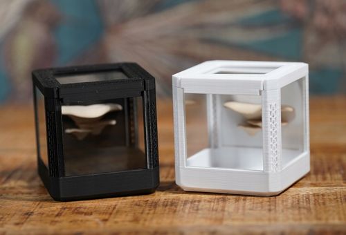 Terrarium szklane -6,5 x 6,5 x 6,5 dla pająka, modliszki, skakuna na Arena.pl