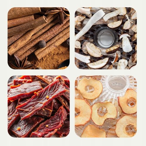 Suszarka spożywcza DUŻA Suszarka do grzybów owoców żywności 5sit TIMER na Arena.pl