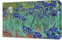 Obraz 60x40cm Irises, Van Gogh Vintage do Salonu