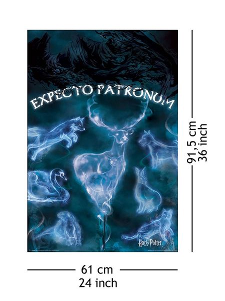 Harry Potter Patronus - plakat 61x91,5 cm zdjęcie 4