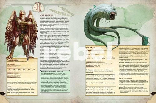 D&D 5.0 KSIĘGA POTWORÓW na Arena.pl