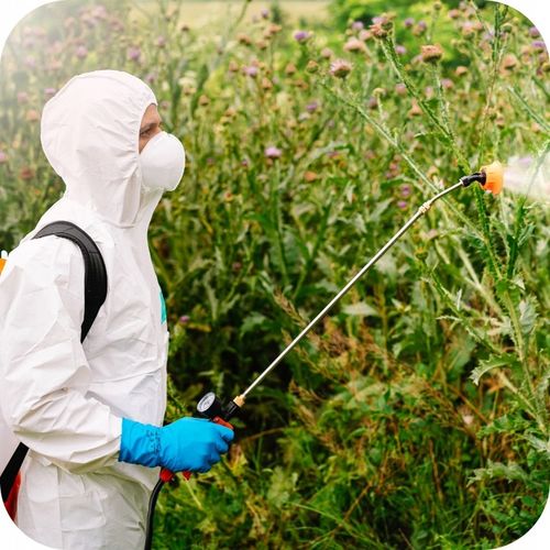 ROUNDUP DYNAMIC 1L OPRYSK NA CHWASTY RANDAP MOCNIEJSZA FORMUŁA na Arena.pl