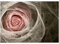 OBRAZ DRUK RÓŻA KTALNA JASNY RÓŻ