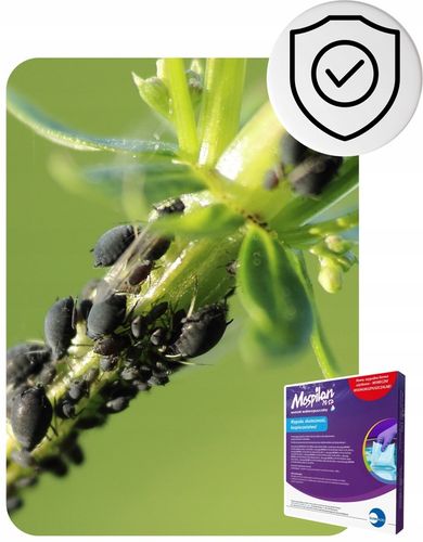 Oprysk Preparat Środek Owadobójczy + Grzybobójczy Miedzian+Mospilan ZESTAW na Arena.pl