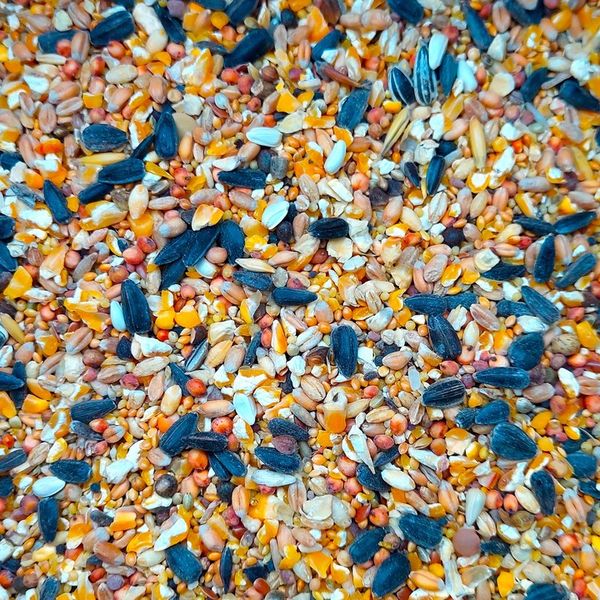 Karma dla dzikich ptaków zimujących 10kg zdjęcie 4