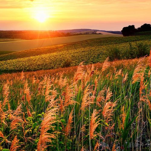 Obraz na płótnie - Canvas, okno - pole 60x40 na Arena.pl