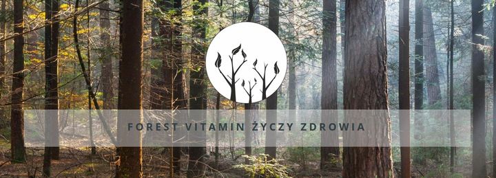 Forest Vitamin Tudca 250mg - 60 kapsułek zdjęcie 4