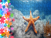 Puzzle tradycyjne Zwierzęta - Rozgwiazda