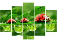 100CM 150CM OBRAZ 5 ELEM BIEDRONECZKI ŚCIENNY