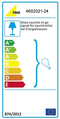 Lampa podłogowa 4602021-24-TRIO na Arena.pl