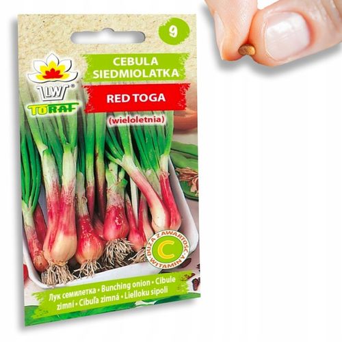 Nasiona warzyw marchew ogórek pietruszka burak NA DOBRY START UDANE PLONY na Arena.pl