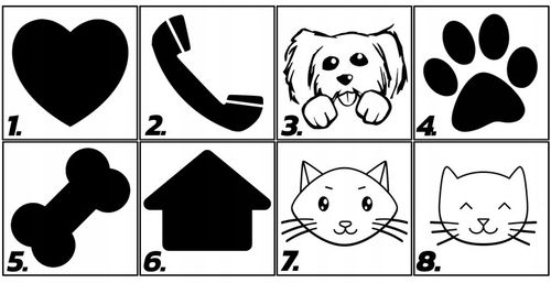 OBROŻA DLA KOTA ADRESÓWKA ODBLASKOWA INDETYFIKATOR KOT PIES + GRAWER na Arena.pl