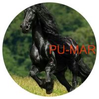 Opłatek na tort KONIE Koń Mustang Konik Kuc Urodziny Tekst Gratis