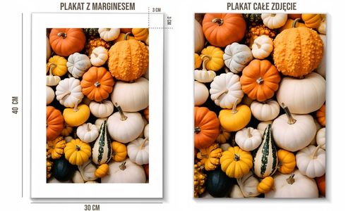 Obraz 30x40 Jesień Jesienne DUŻO WZORÓW plakaty dekoracja do salonu na Arena.pl