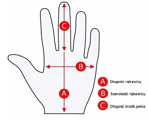 Damskie Ciepłe Zimowe Rękawiczki Dotykowe Kokarda na Arena.pl