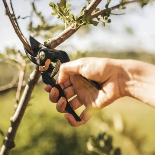 Sekator nożycowy ogrodowy ostry SOLID P131 FISKARS na Arena.pl