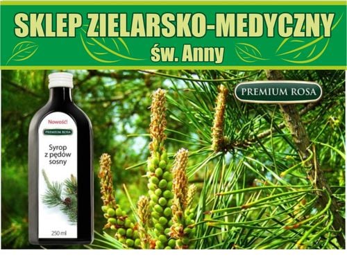 SYROP Z PĘDÓW SOSNY 250ml na Arena.pl
