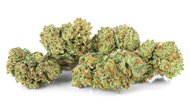 Susz konopny CBD | Mobidick | HOLENDER | 1g zdjęcie 4