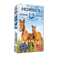 karty  konie 2174