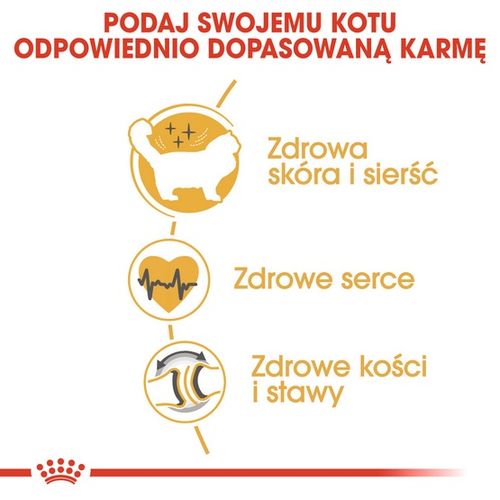 Karma z kwasami omega dla kotów dorosłych rasy Ragdoll - Royal Canin 400g na Arena.pl